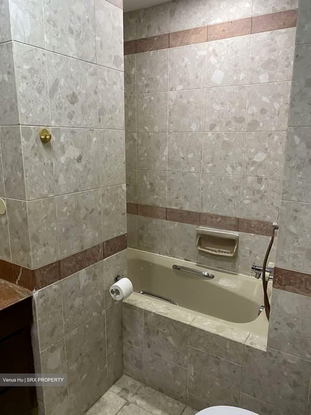 Maplewoods (D21), Condominium #565175441